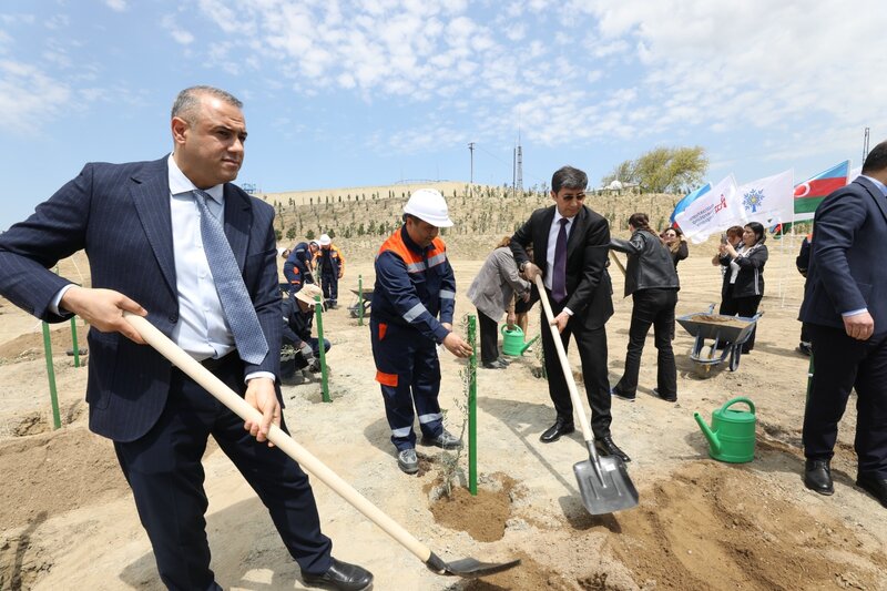 YAP-ın Sabunçu təşkilatı və 