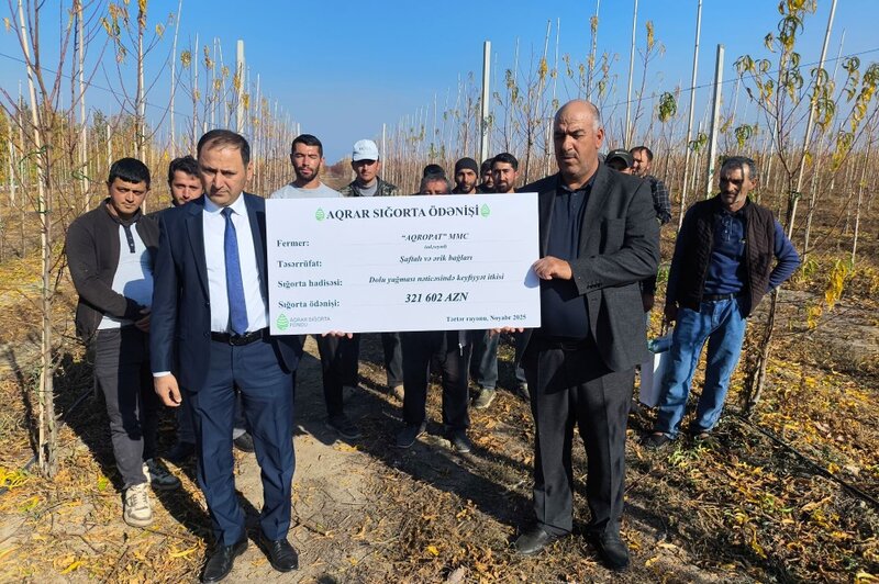 Azərbaycanda ilk dəfə meyvənin dəyərinin azalması üzrə aqrar sığorta ödənişi edilib