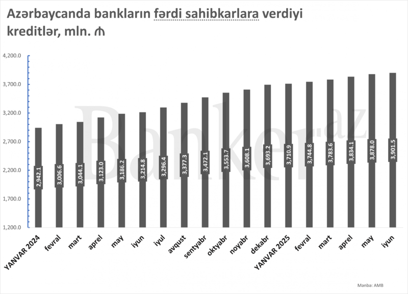 Fərdi sahibkarlara verilən kreditlərin həcmi 4 mlrd. manata çatıb