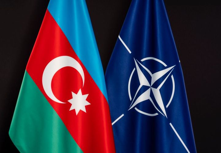 Bakını NATO-da o təmsil edəcək