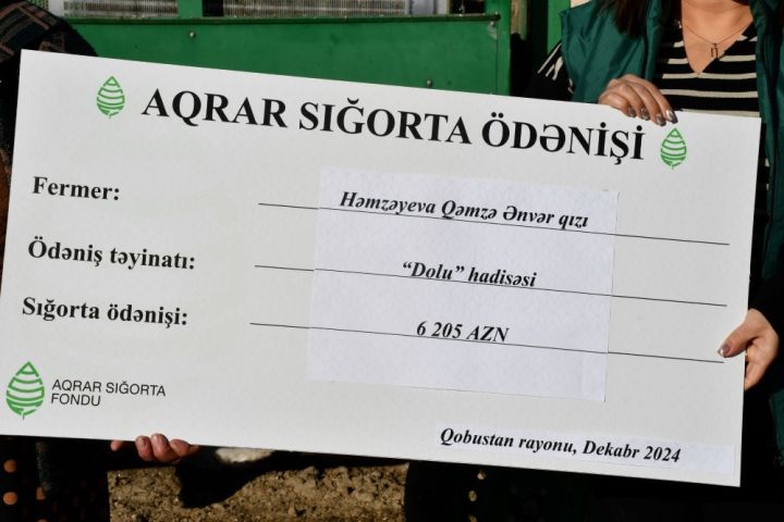 Doludan zərər çəkən fermerlərə aqrar sığorta ödənişləri edildi