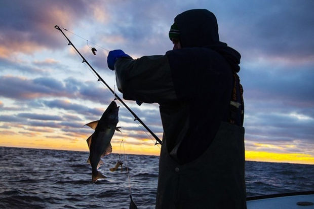 Tovuzda balıq tutan gənci elektrik cərəyanı vurdu