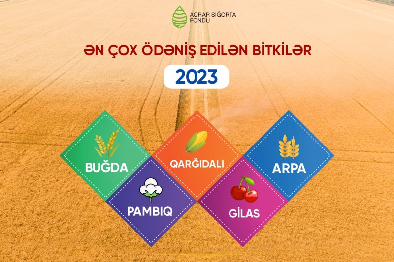 2023-də rekord məbləğdə aqrar sığorta ödənişi edilib