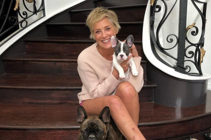 Gənc sevgilisi botoksa görə Şeron Stoundan ayrılıb - FOTO