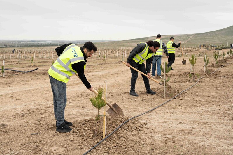 VTB (Azərbaycan) Müşfiqabadda ekoloji kampaniyada iştirak etdi