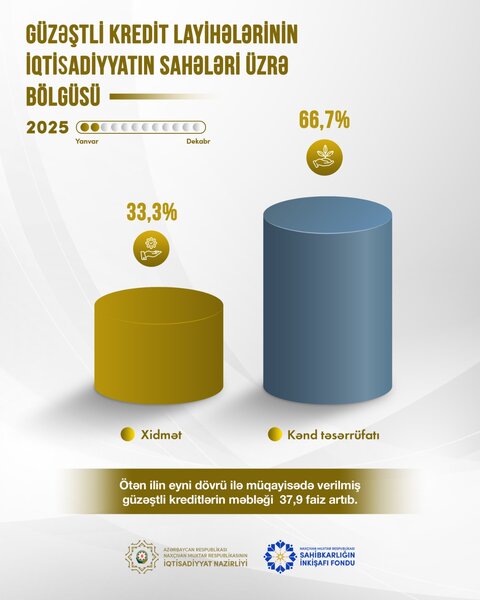 Naxçıvanda sahibkarlara verilən güzəştli kreditlərin həcmi 37,9 faiz artıb