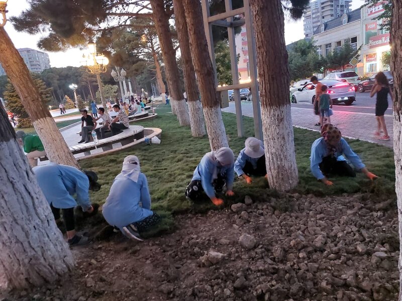 Abşeron rayonunda yeni yaşıllıq sahələri salınır - FOTOLAR