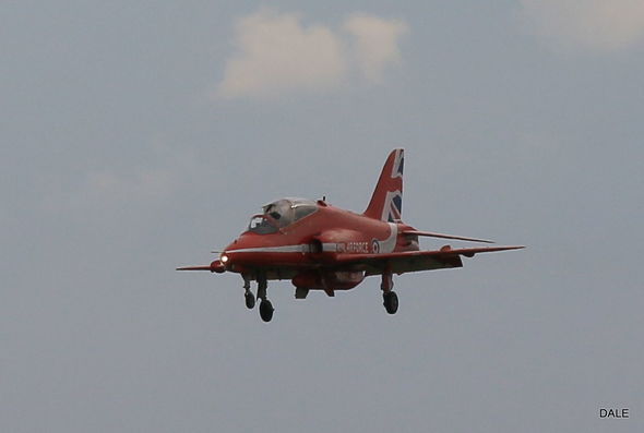 Britaniyada aviaşouda insident: Quşlar təyyarələrə qarşı - FOTO