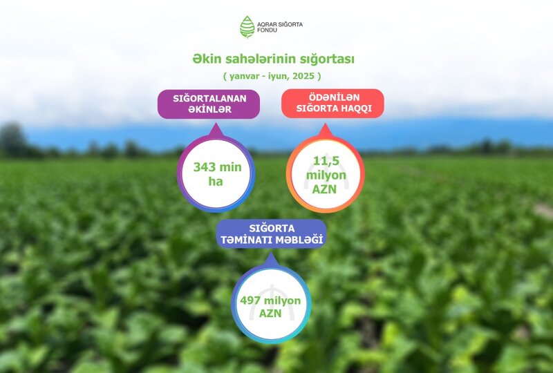 Zərər ödənişinin həcmi kəskin artıb