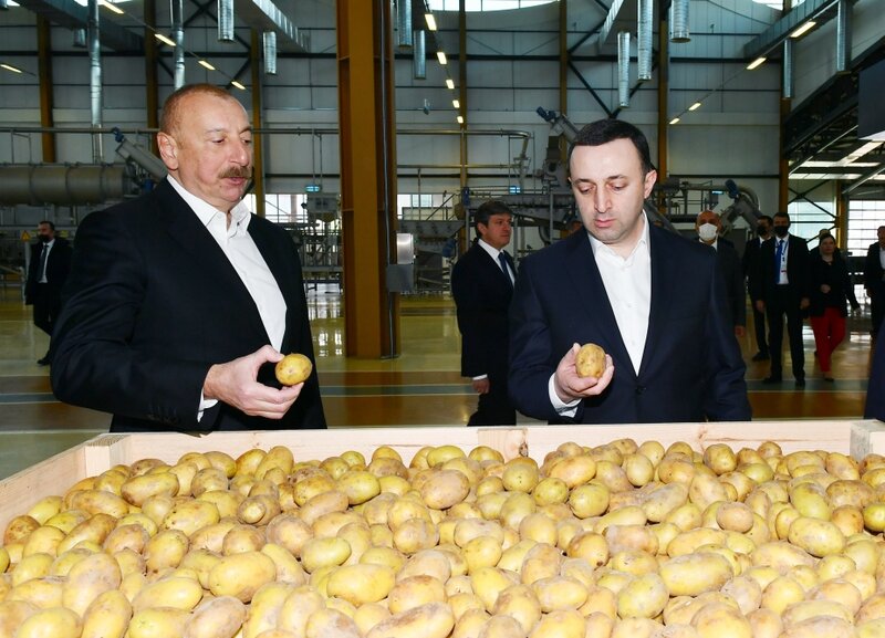 Prezident Gürcüstanın Baş naziri ilə Qida Şəhərciyini də gəzdi - FOTOLAR