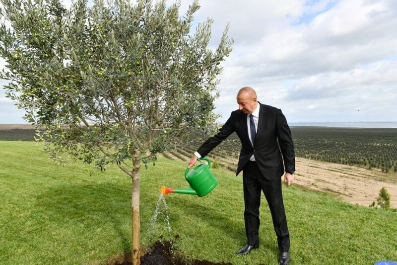 Prezident: 