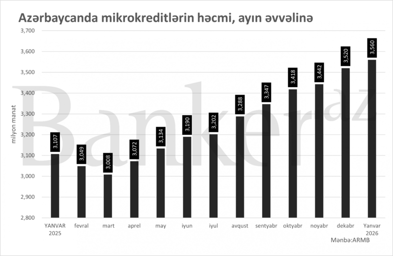Azərbaycanda mikro biznes kreditlərin payı artır