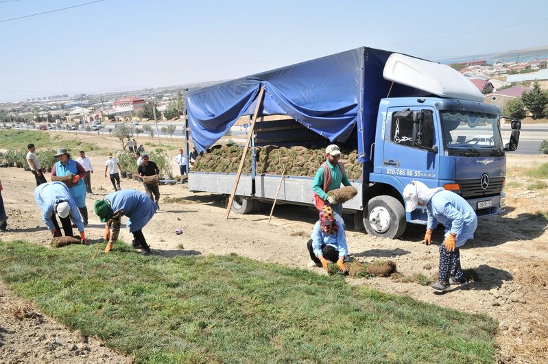Abşeron rayonunda yeni yaşıllıq sahələri salınır - FOTOLAR