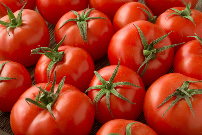 Azərbaycanlı fermerlər pomidor ixracından 45 milyon dollar qazanıblar