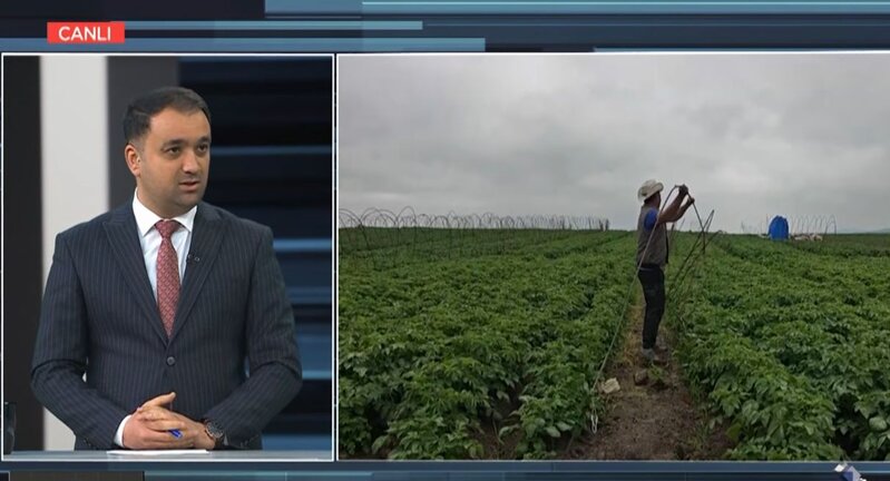 Aqrar sığorta zərfinə yeni bitkilərin əlavə ediləcək – MÜSAHİBƏ