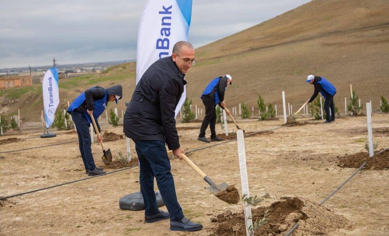 TuranBank ağacəkmə aksiyası təşkil edib