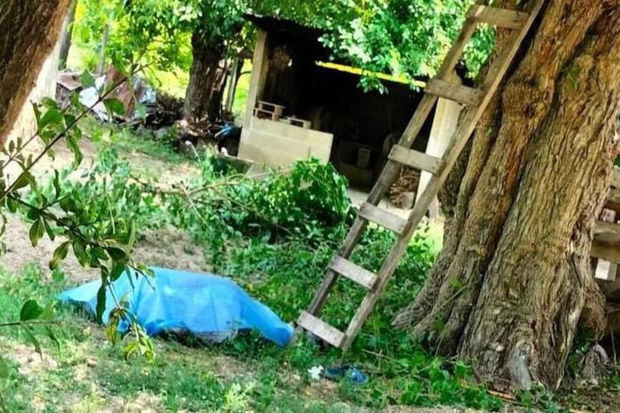 Balakən sakini ağacdan yıxılaraq ÖLDÜ