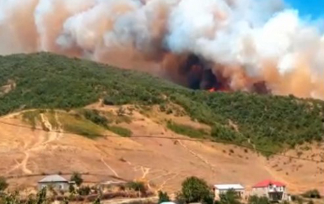 Qəbələdə yanğın başladı