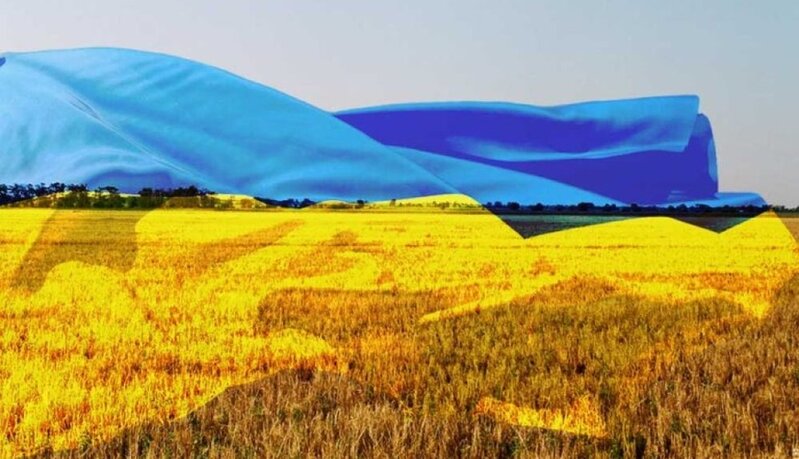 İstanbulda taxıl dəhlizi üzrə Birgə Koordinasiya Mərkəzinin açılışı olub