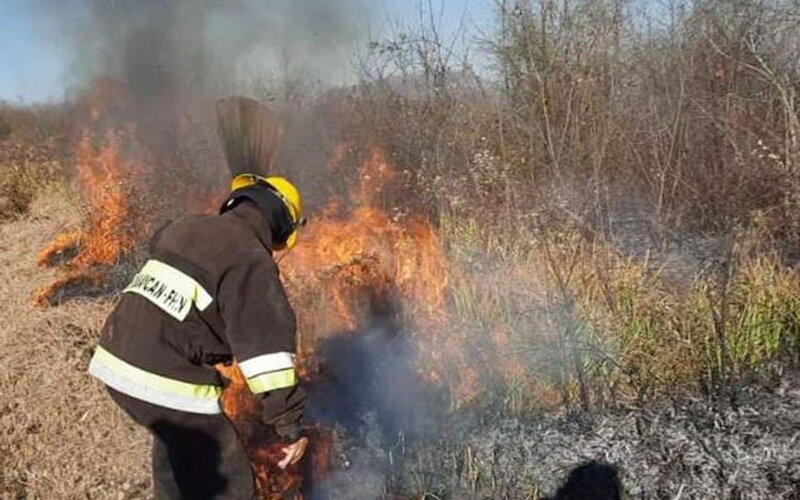 Şəkinin kəndlərində qəsdən yanğın törədən şəxs saxlanıldı - Xəsarət alanlar var